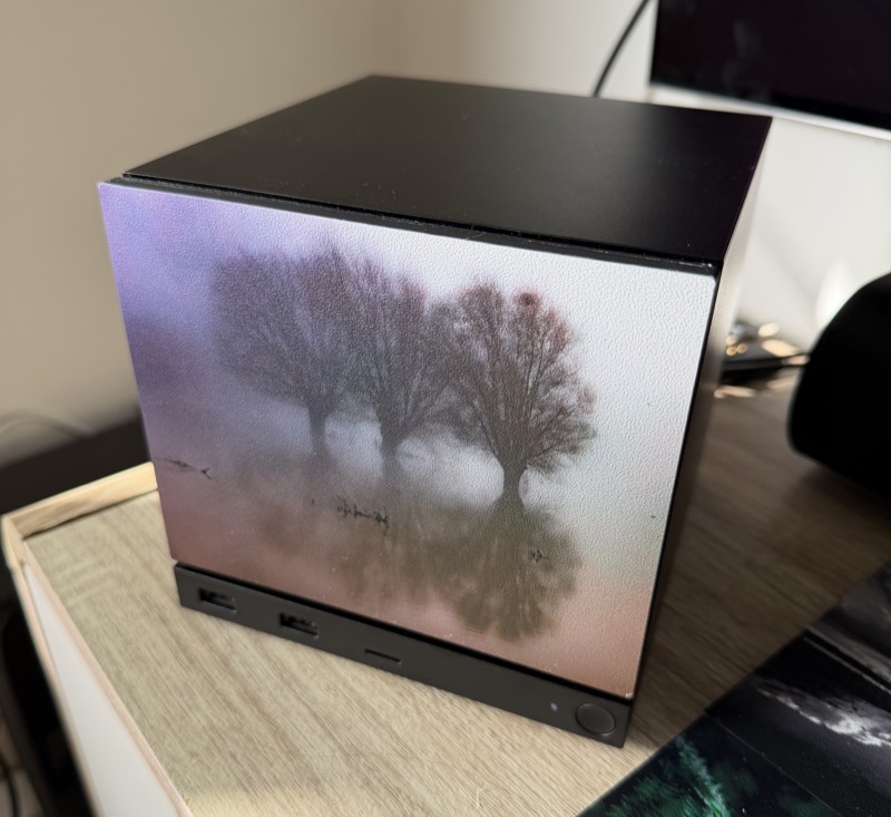 Faceplate with pollard willows in the mist on a Steam Machine